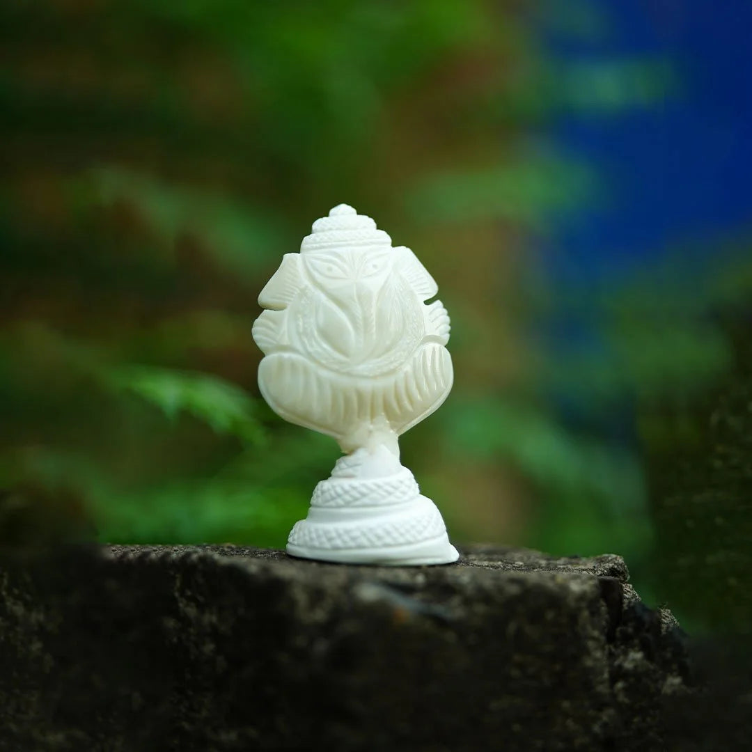 Sacred Shankh