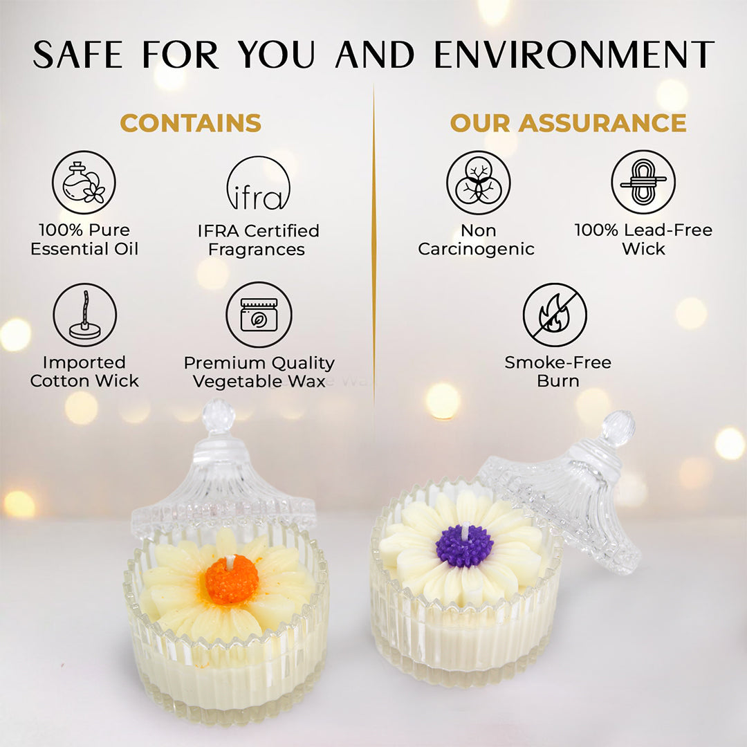 Royal Daisy scented candle combo - Image Containing Product Features